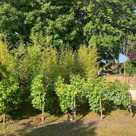 Pierres Et Jardins Bed & Breakfast Senlis  Eksteriør bilde