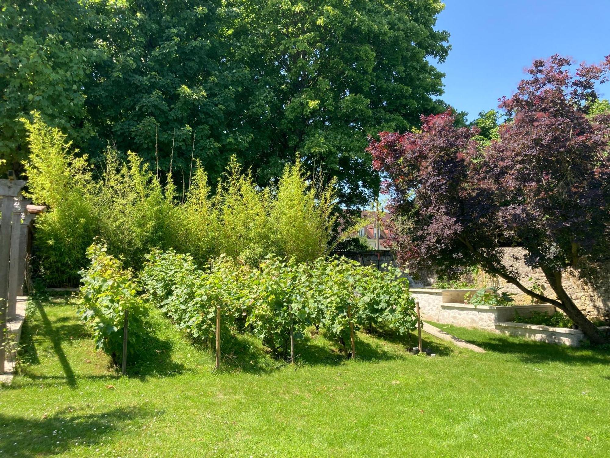 Pierres Et Jardins Bed & Breakfast Senlis  Eksteriør bilde