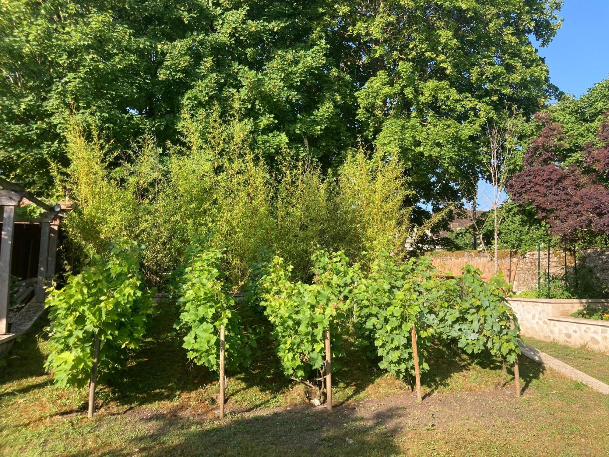 Pierres Et Jardins Bed & Breakfast Senlis  Eksteriør bilde