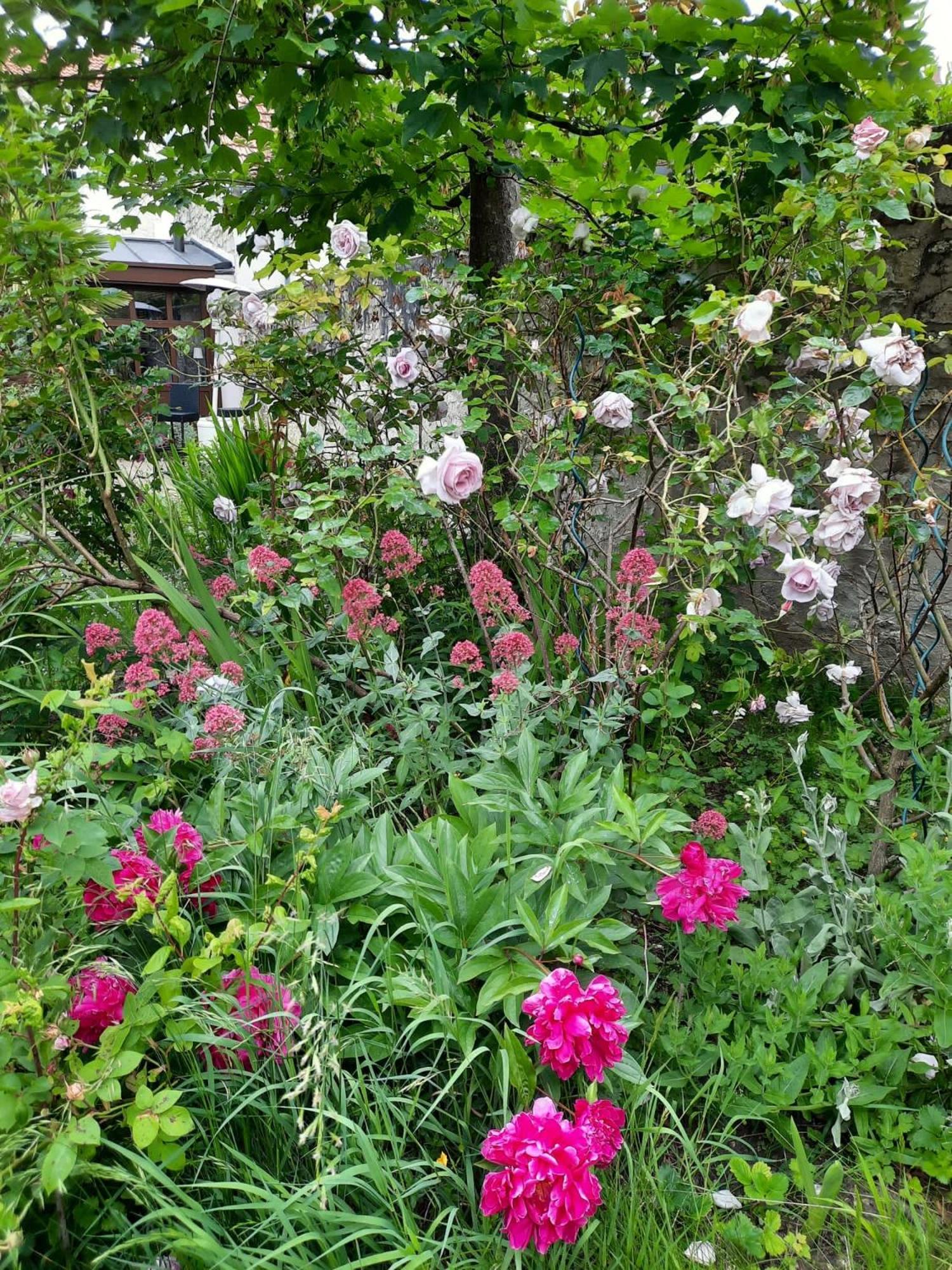 Pierres Et Jardins Bed & Breakfast Senlis  Eksteriør bilde